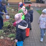 Sadzimy cebulki kwiatów