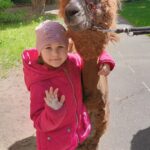 Alpaki w grupie Puchatki