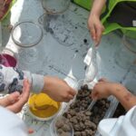 Warsztaty Architektura w szkle zamknięta