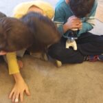 Warsztaty odporność o wirusach i bakteriach