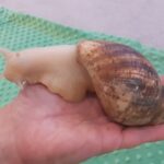 Farma - poznajemy świat zwierząt