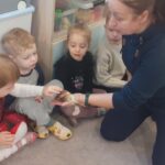 Farma - poznajemy świat zwierząt