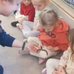 Farma - poznajemy świat zwierząt