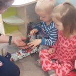 Farma - poznajemy świat zwierząt