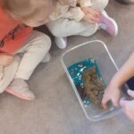 Farma - poznajemy świat zwierząt