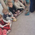 Farma - poznajemy świat zwierząt