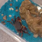 Farma - poznajemy świat zwierząt