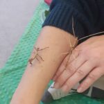 Farma - poznajemy świat zwierząt