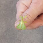 Farma - poznajemy świat zwierząt