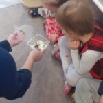 Farma - poznajemy świat zwierząt