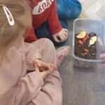 Farma - poznajemy świat zwierząt