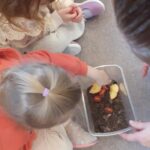 Farma - poznajemy świat zwierząt