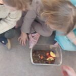 Farma - poznajemy świat zwierząt