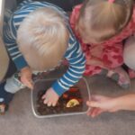 Farma - poznajemy świat zwierząt