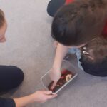 Farma - poznajemy świat zwierząt