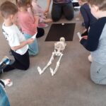 Warsztaty Dużo kości mamy